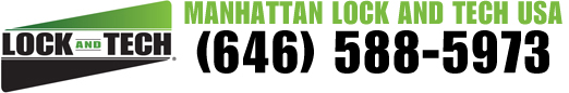 Chameleon Logo